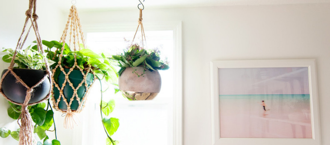 hangplantjes in de badkamer