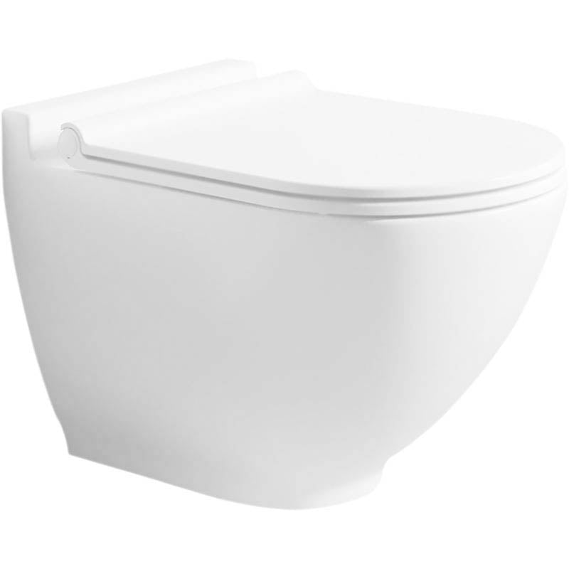 Bien Harmony Toiletpot Randloos Met Bidet Inclusief Softclose Toiletbril