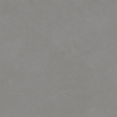 Bien Concept Vloertegel En Wandtegel Light Grey 60x60 Licht Grijs