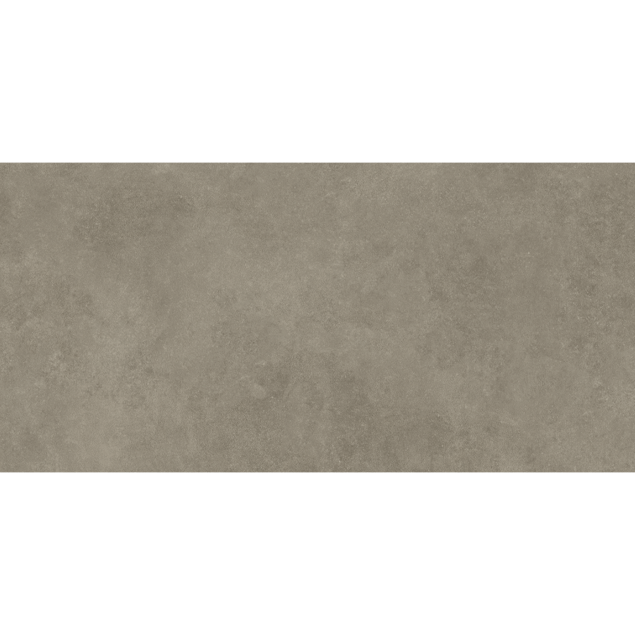 Bienseramik Concept Vizon 30x60